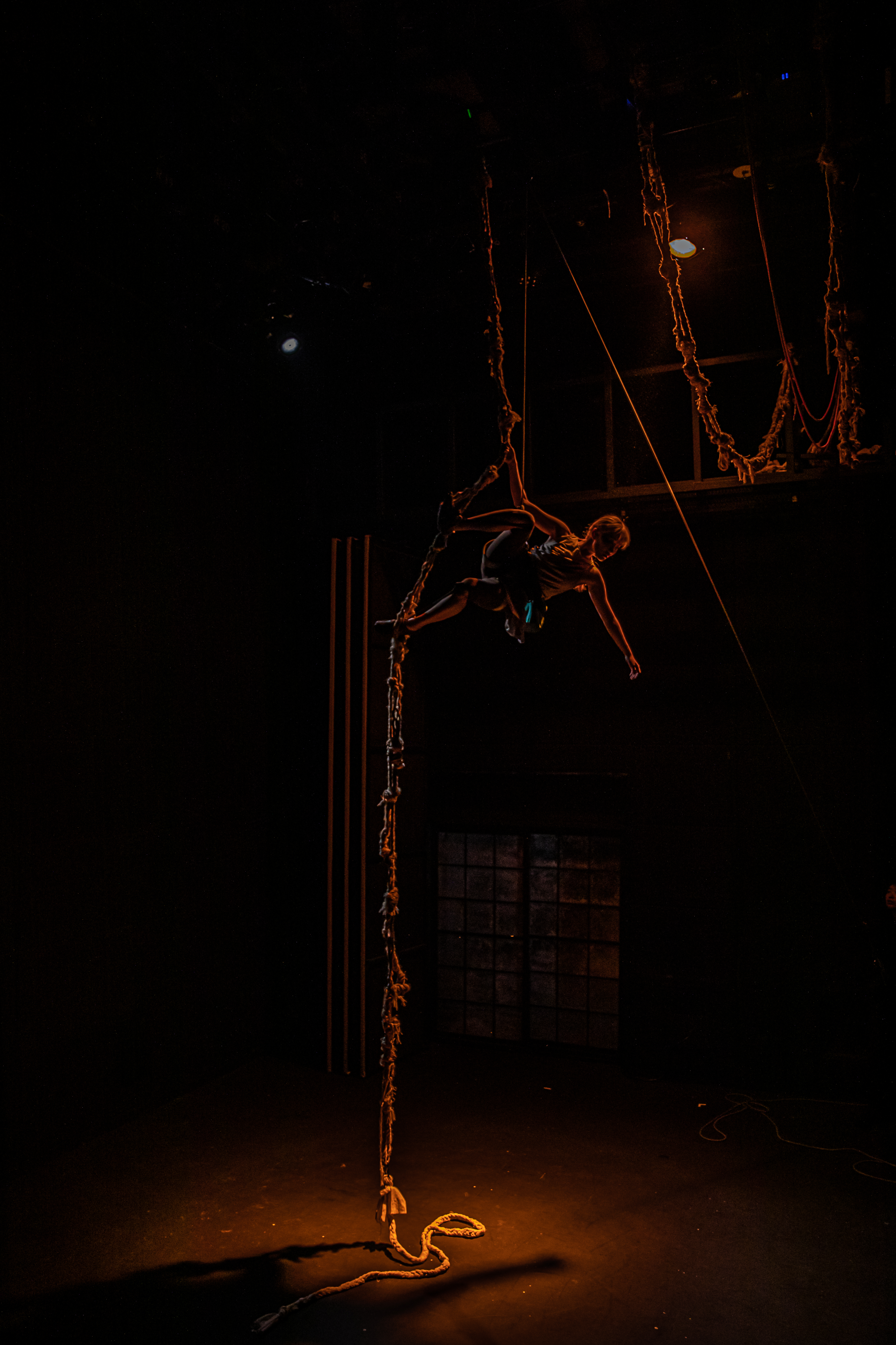 Rapunzels에게 바치는 클라이밍