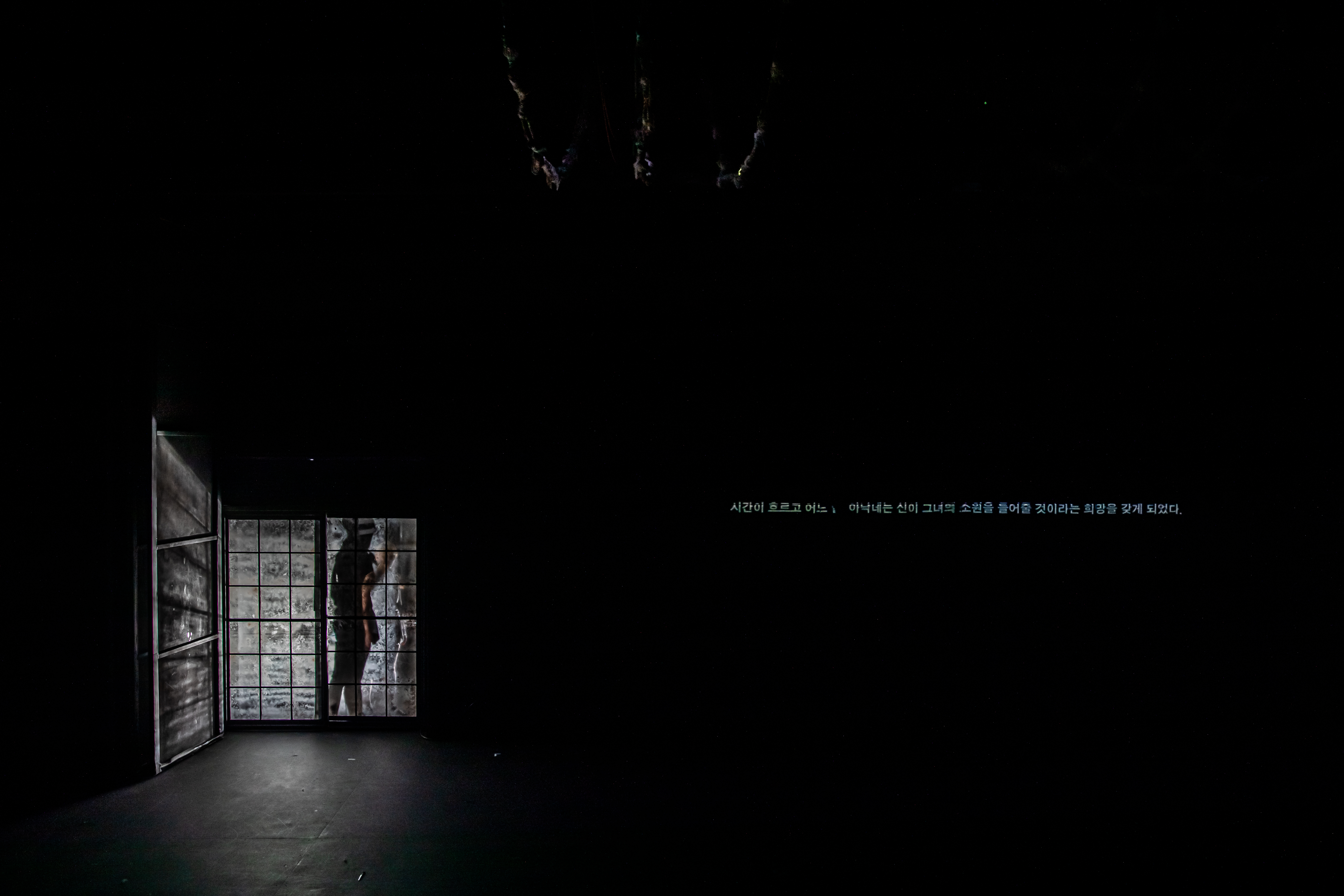 Rapunzels에게 바치는 클라이밍