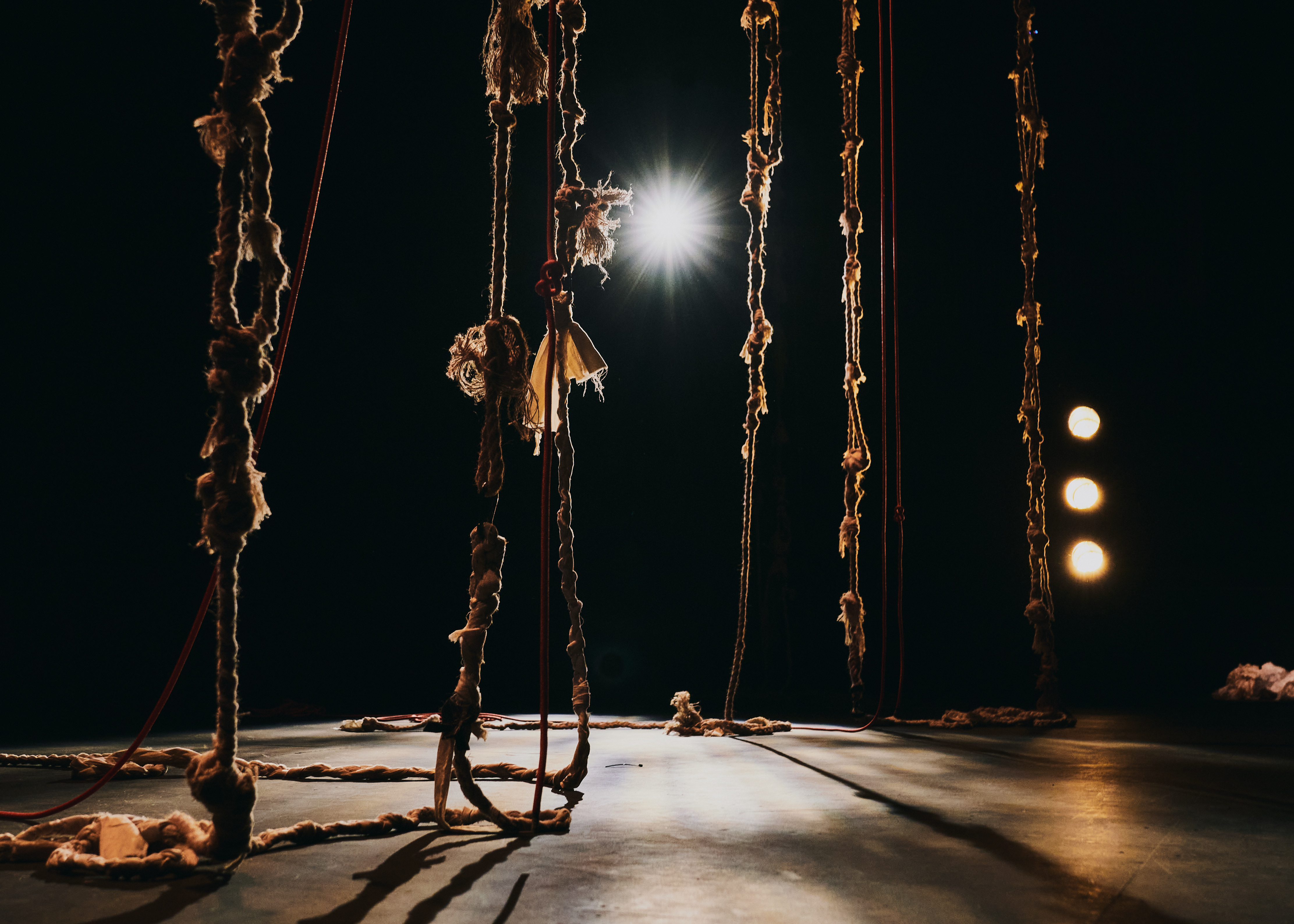 Rapunzels에게 바치는 클라이밍