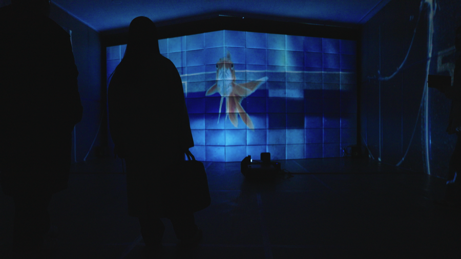 Gold, Fish In The Room